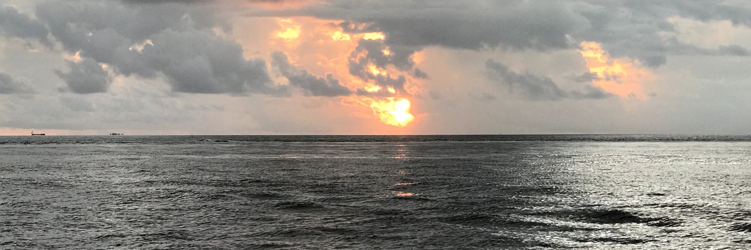 alinasih09's profile banner image