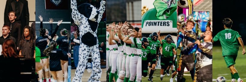 Pointer Media banner