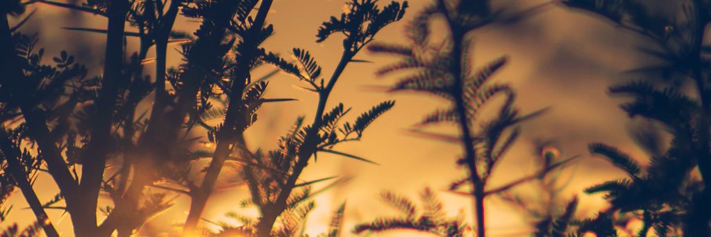 16Patricia_'s profile banner image