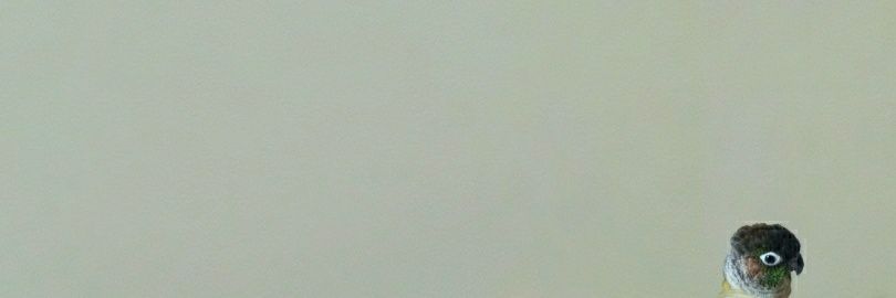 Ana_theG's profile banner image