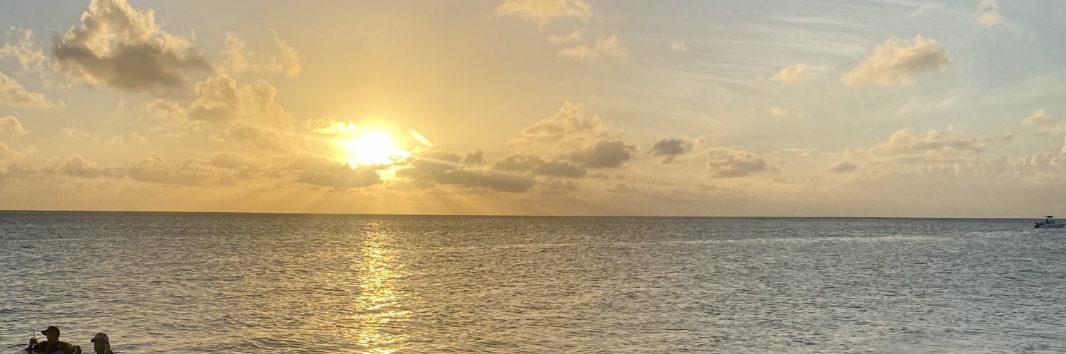 JulioIrwin's profile banner image
