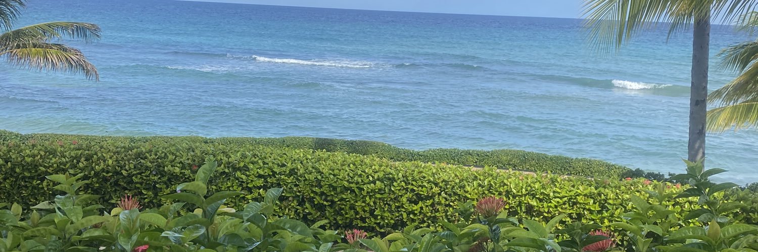 Jack Mandora⚖️ banner