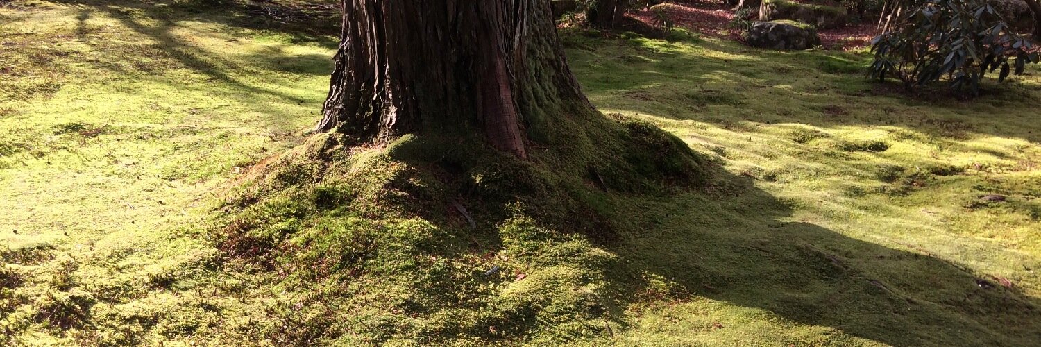 Yung-Luen Lan banner