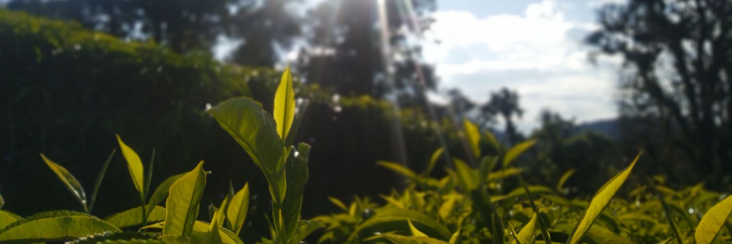 Nrmalaaaaaa's profile banner image