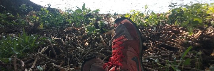 andyREDSanfield's profile banner image