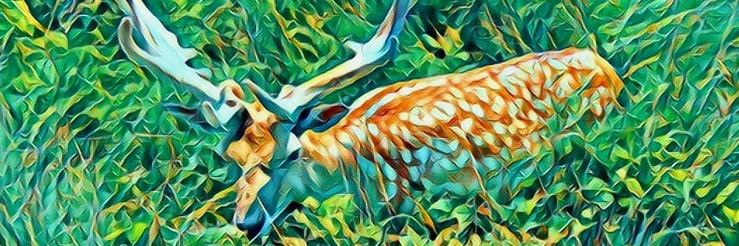 superboomboom's profile banner image