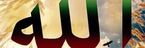 abas19811981ab2's profile banner image