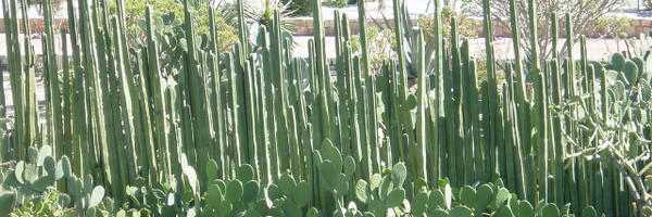 HildaMParedes Profile Banner