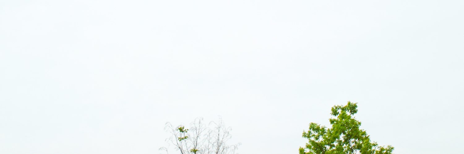 Masafumi Teruyama banner
