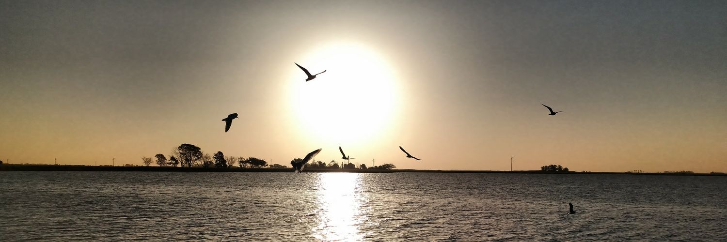 RomySalomon's profile banner image