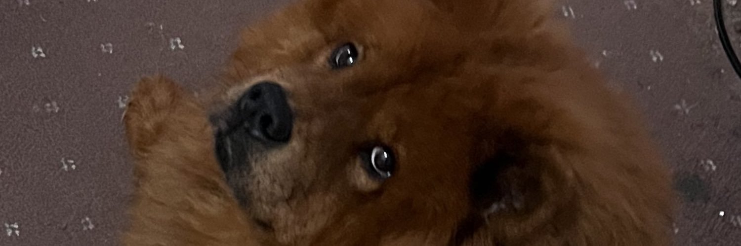 pseudabx's profile banner image