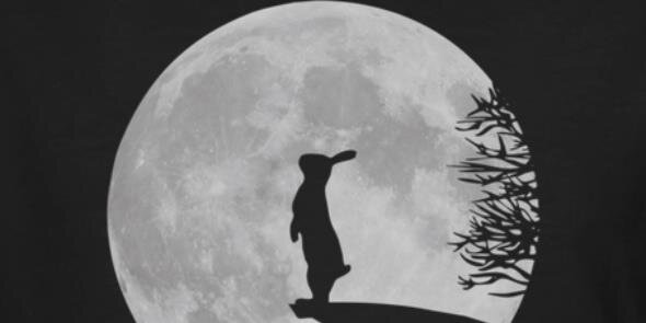 Kripto72's profile banner image