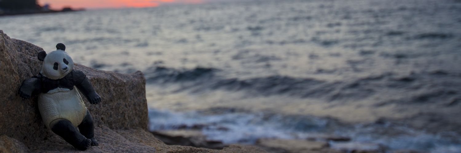 ujicha_panda's profile banner image