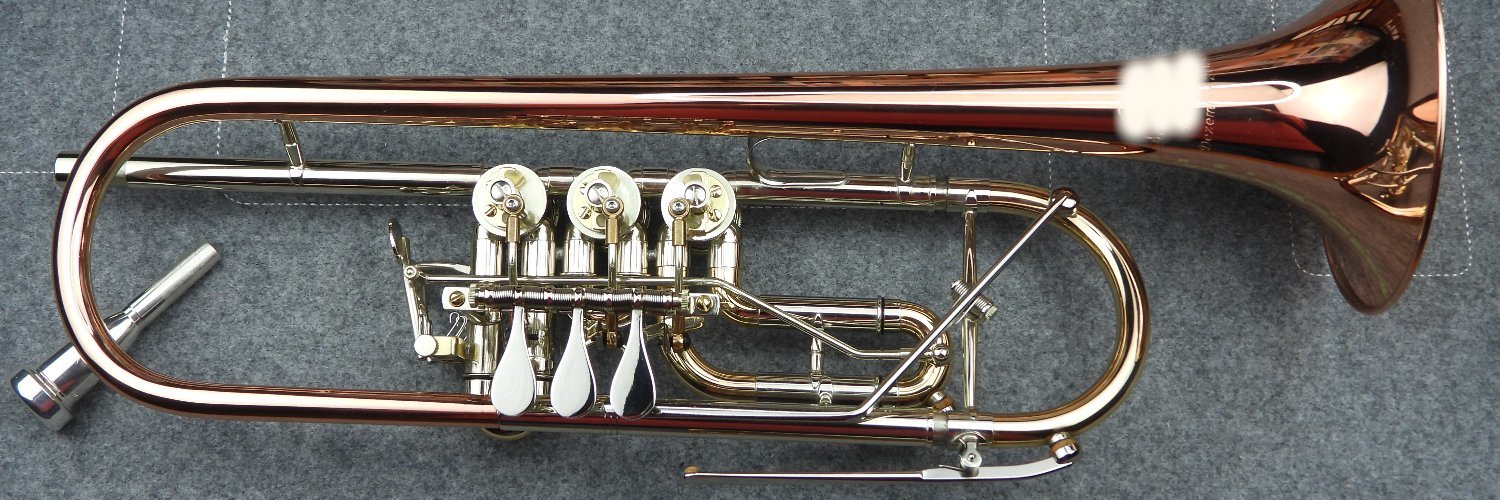 Instrumentenbauer 📯🐦 🎺 banner