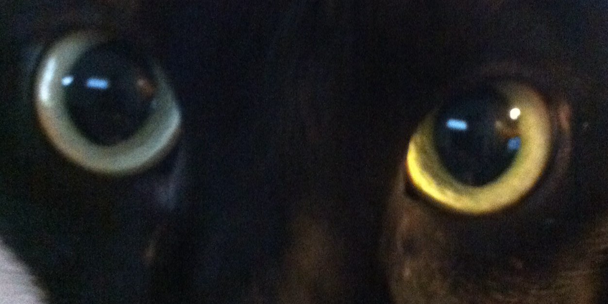 Floggingmicah's profile banner image