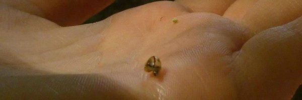 muckybootsed Profile Banner