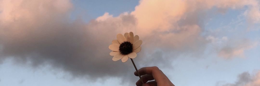 Arli798's profile banner image