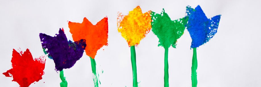 Spencer Borden banner