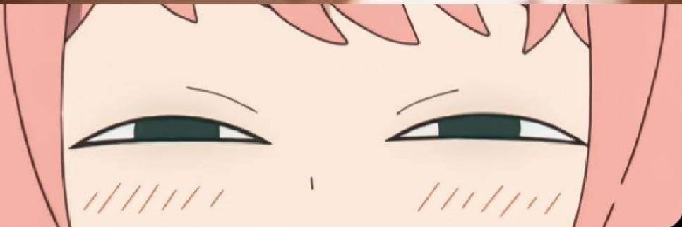 Kutu_terbang's profile banner image