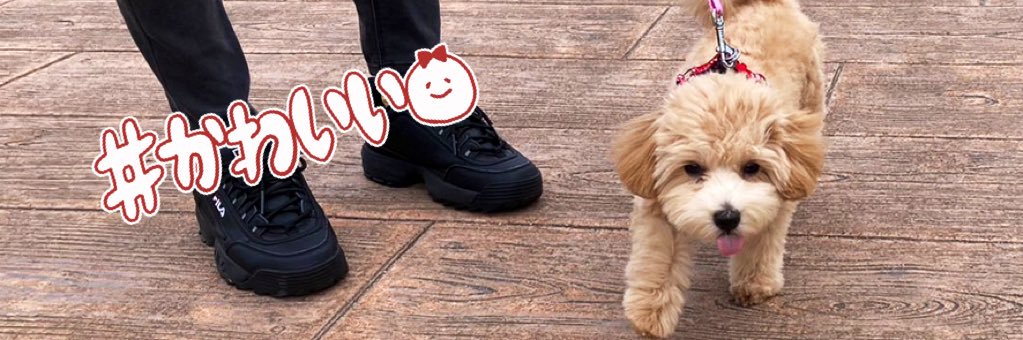 gato777yu's profile banner image