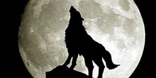 Papi536's profile banner image