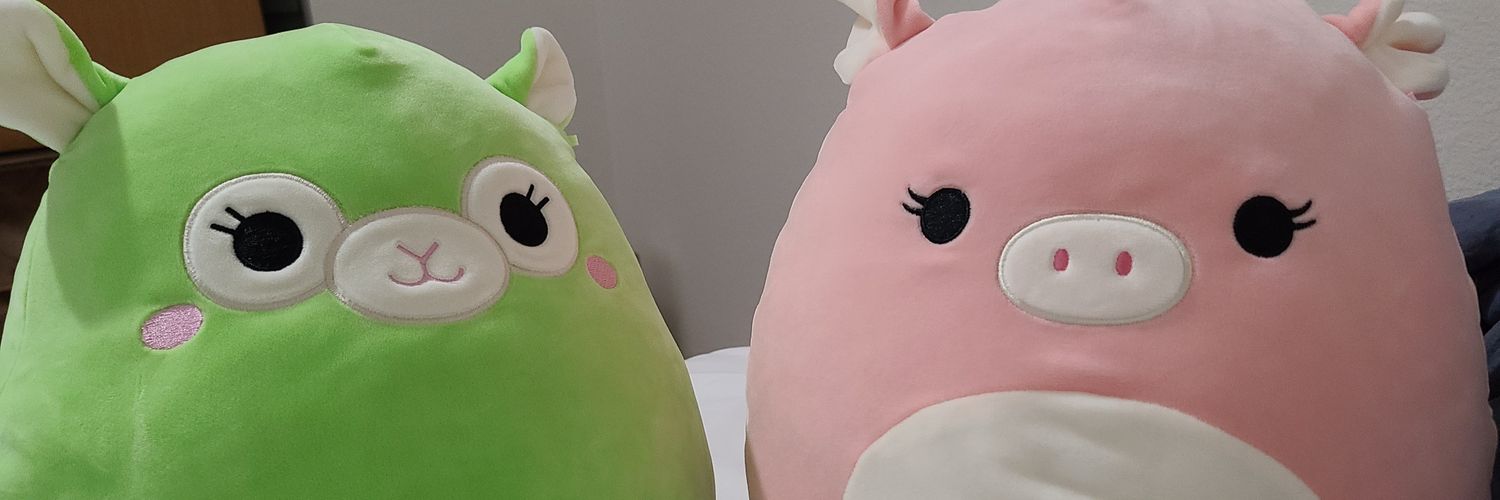 ShanDraws0's profile banner image