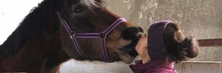 🇹🇿🇱🇰🇮🇪 banner