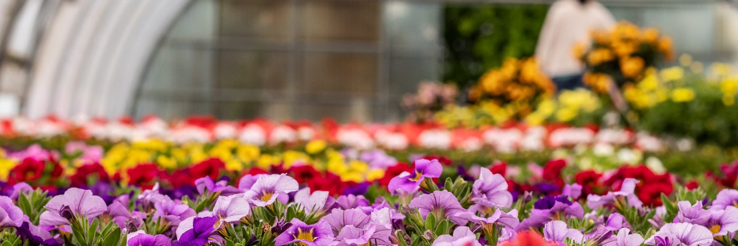 BASF Plants US banner