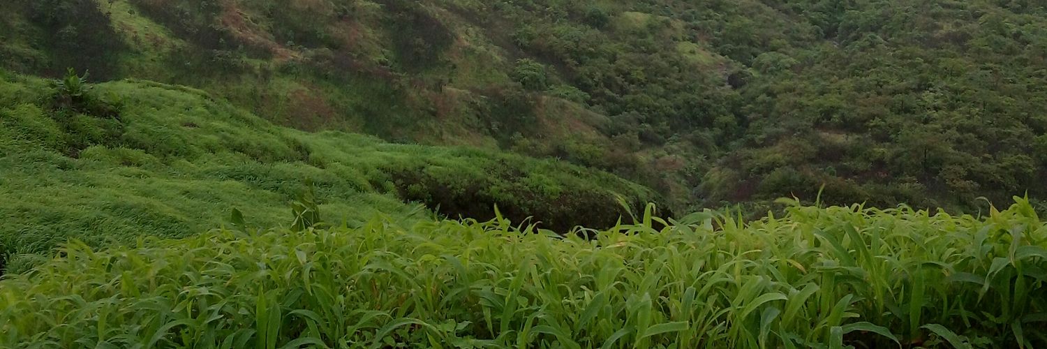 SomnathUrhe's profile banner image