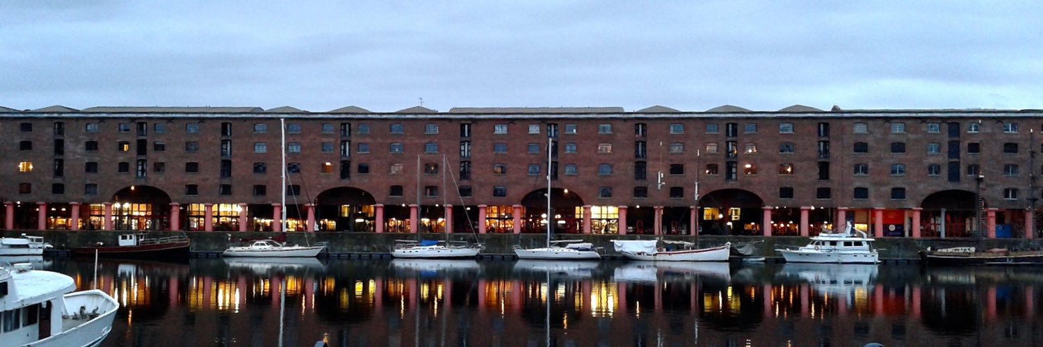 Ivy Lin | Querying Author banner