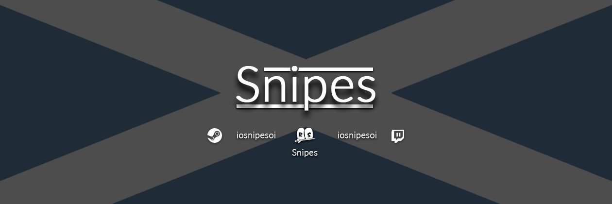 Snipes banner