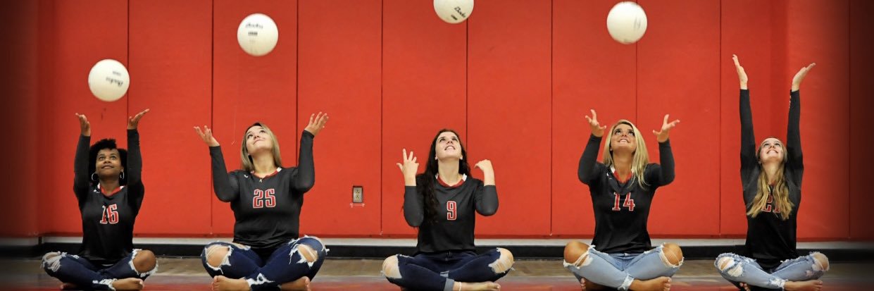 WA Girls Volleyball banner