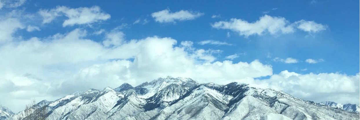 TonaWD's profile banner image