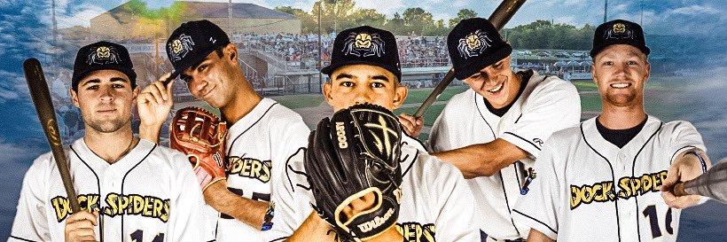 Fond du Lac Dock Spiders's banner