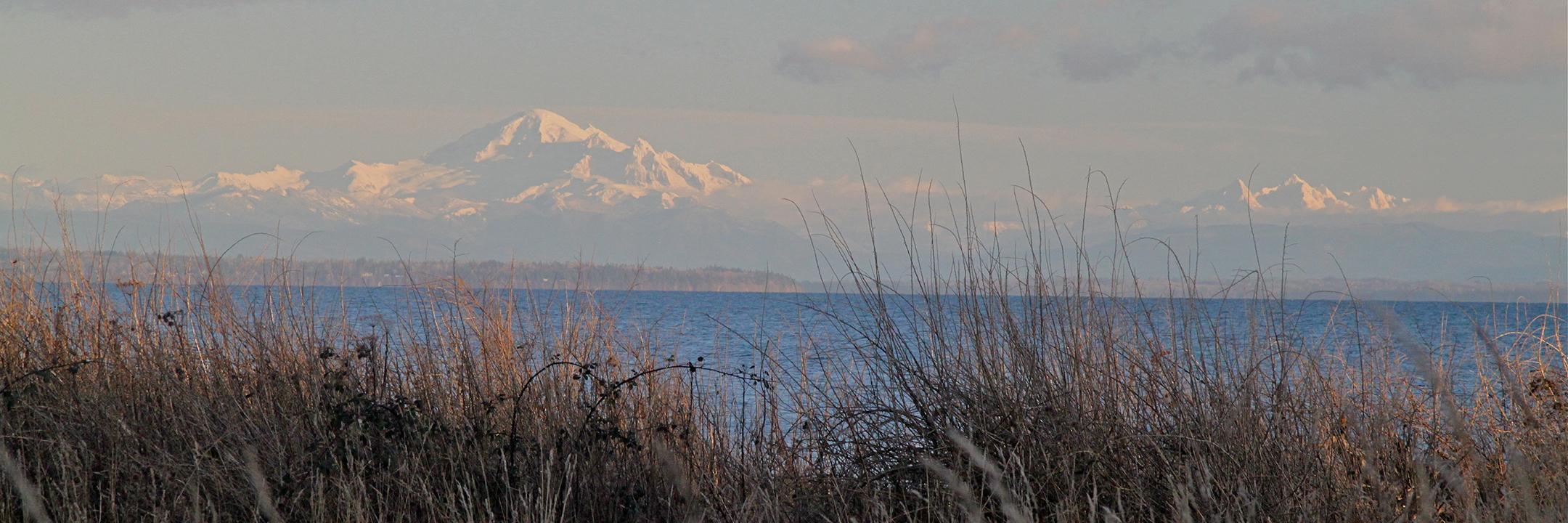 Whatcom Land Trust banner