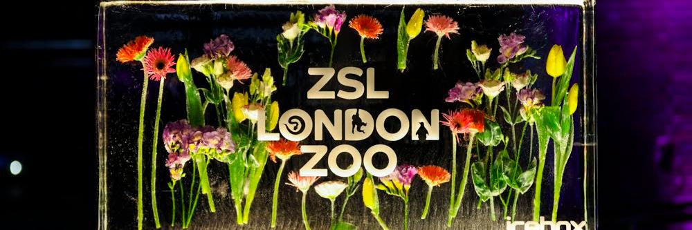 ZSLcatering's profile banner image