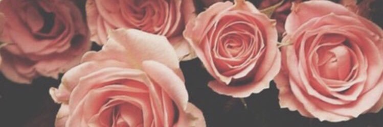 Yashamilasha's profile banner image