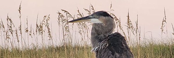 ALoudRecruits Profile Banner