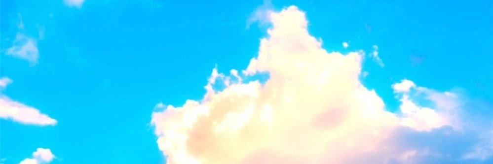 Frau Bimbums 🦋 banner