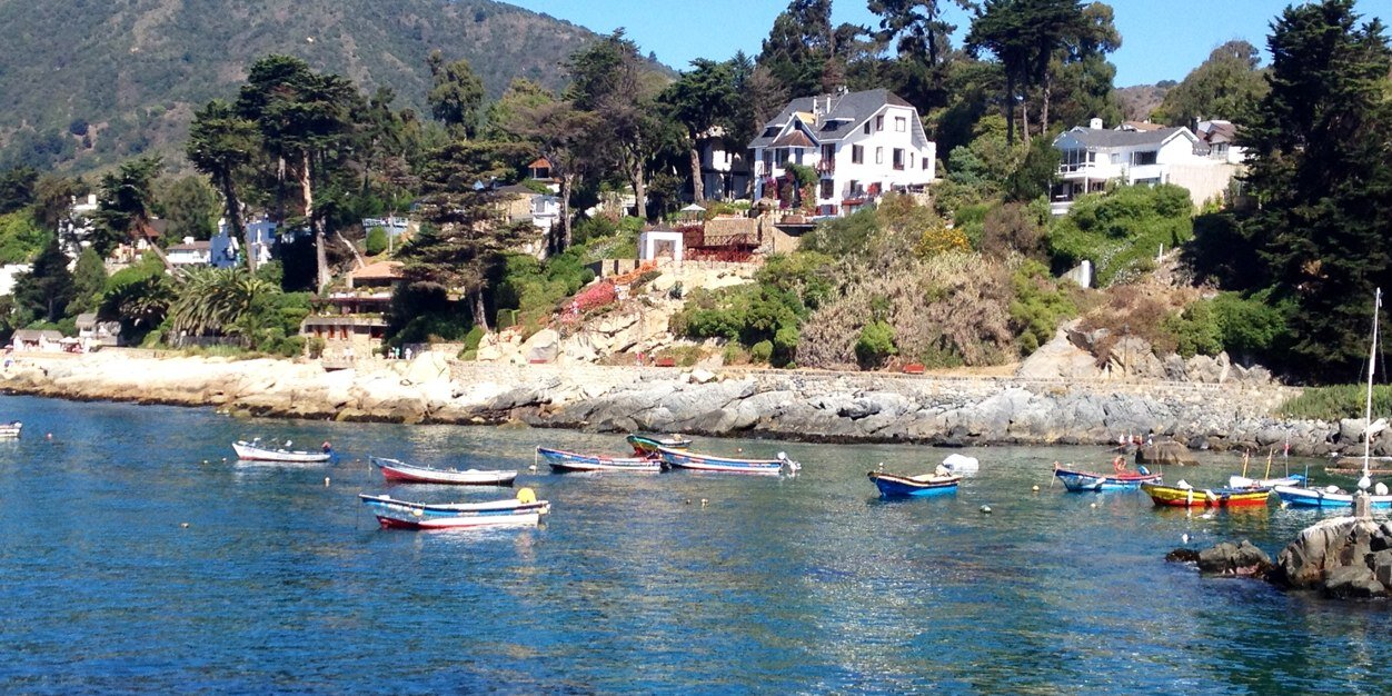 FERNANDO DELFINO banner