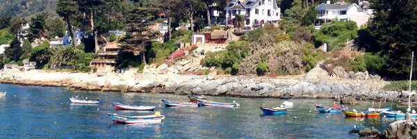 fernandelfino Profile Banner