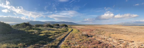 mdredmond1 Profile Banner