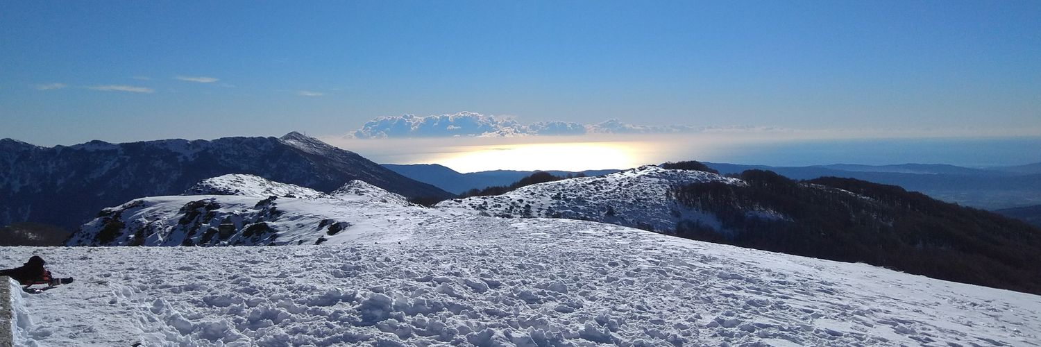 albatinto's profile banner image