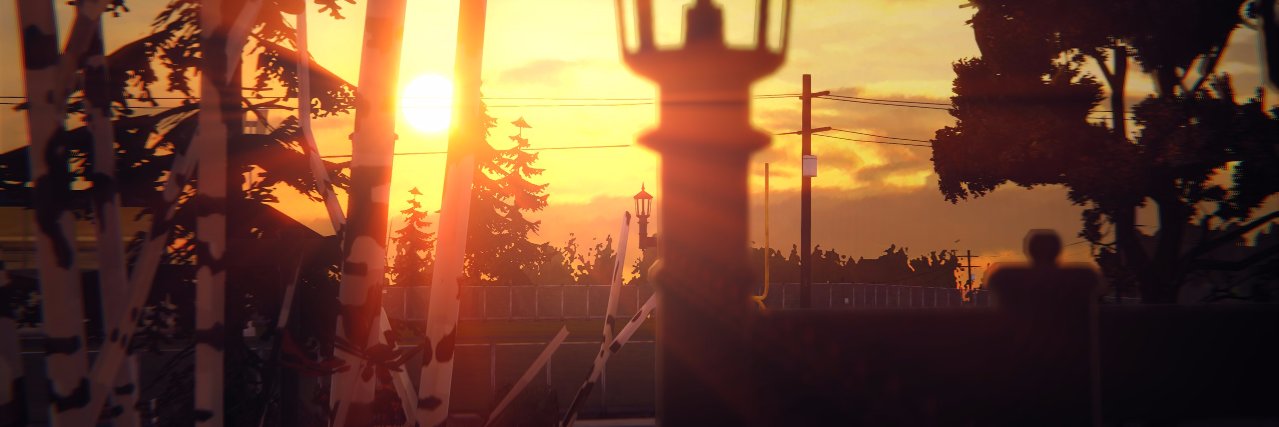 eskimosovich's profile banner image