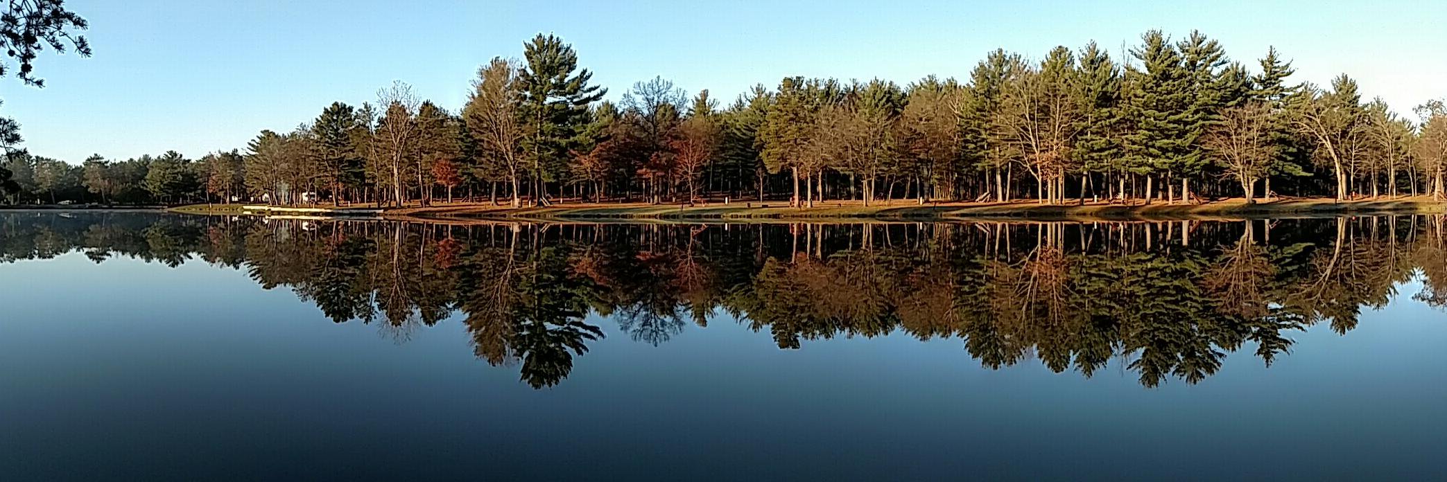 Diana Laufenberg banner