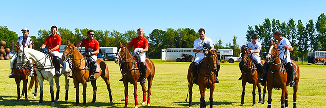 Polo Hamptons banner