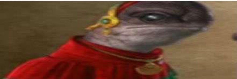 FellDragoon's profile banner image