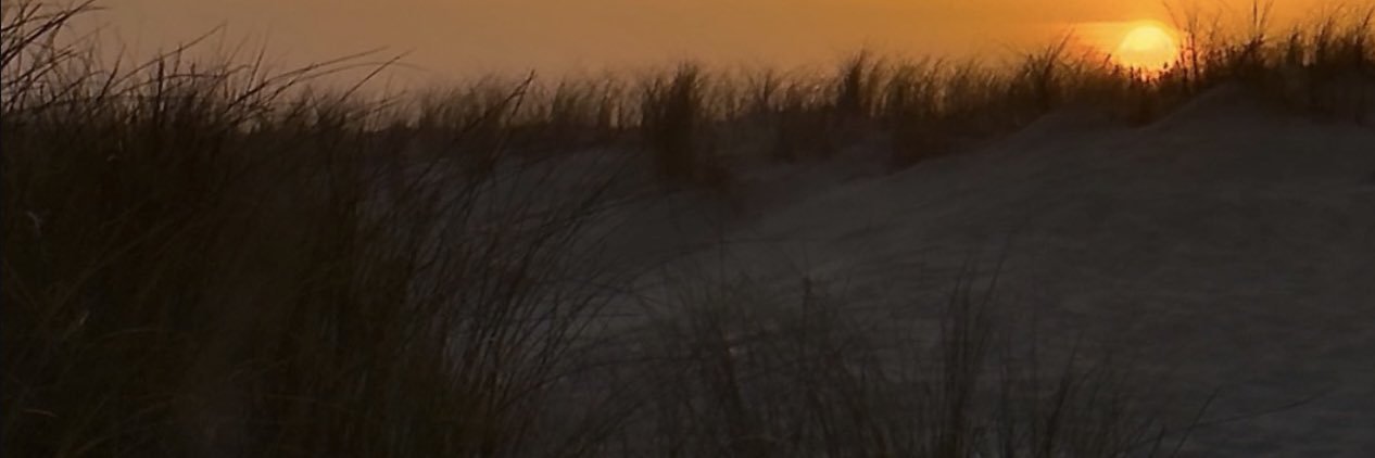 sentennza's profile banner image