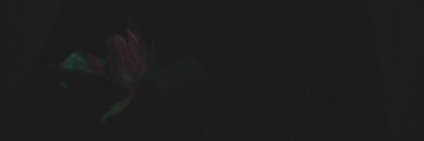 jamthrawn Profile Banner