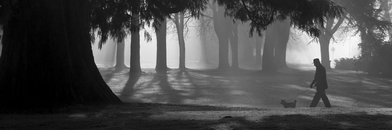 Kerry Lauerman banner